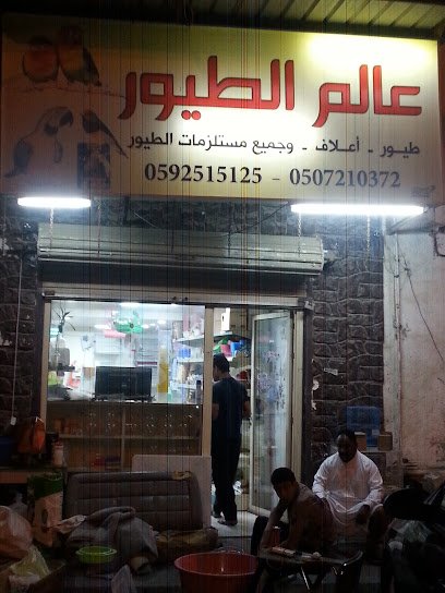 عالم الطيور - Saudi Arabia|Al Qatif 32661|Al Qudaih|HX9P+XMJ