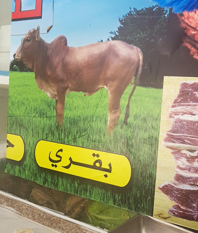 ملحمة الفيصل - جدة -