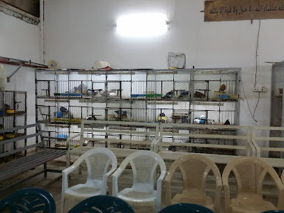 سوق سكاكا للطيور - سكاكا -