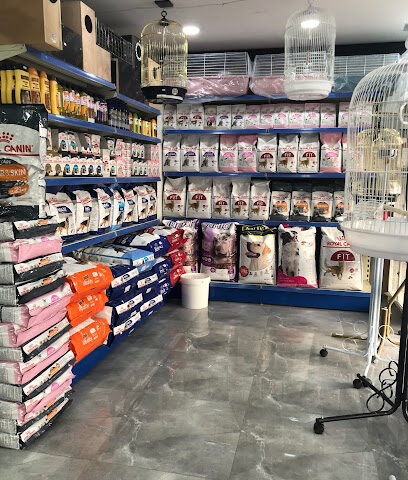 محب للطيور النادرة - القطيف - +966 50 484 2773
