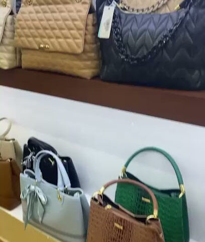زيبرا - حفر الباطن -