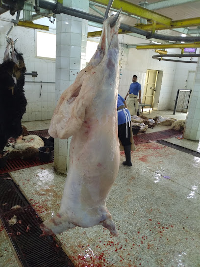 المسلخ الشمالي - Hail 55428
