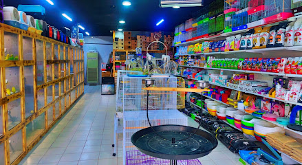 حدائق الطيور لبيع طيور واسماك الزينه - بريدة - +966 55 786 9982