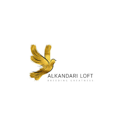 الكندري لوفت -  - +965 513 51615