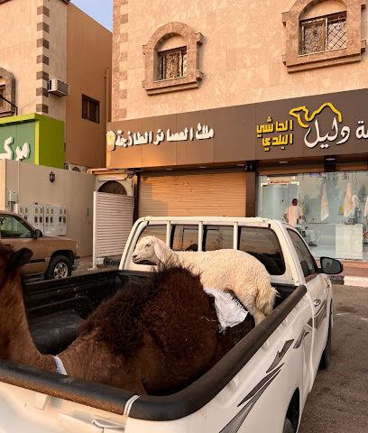 ملحمة دليل الحاشي البلدي - الطائف -