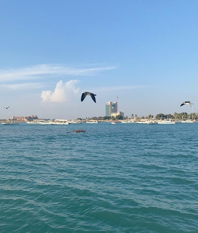 هيا تعال للرحلات البحرية لتأجير القوارب - ينبع - +966 56 241 9194