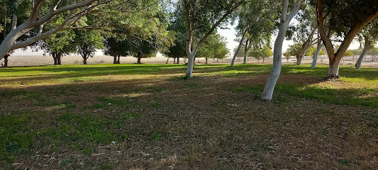 شركة مدى للسجاد - ينبع - +966 14 325 5482