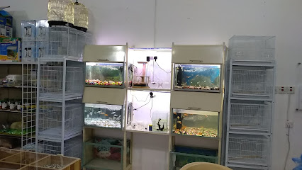 بلبل للطيور والأسماك - الزلفي - +966 58 126 3113